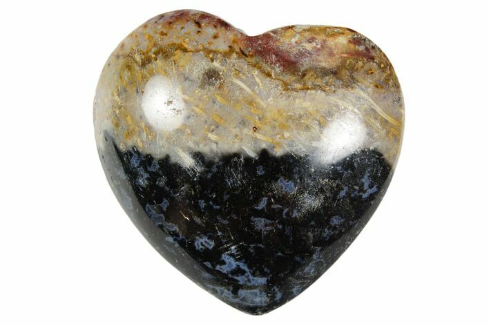 1.4" Polished Petrified Palm Root Heart - Indonesia - Photo 1
